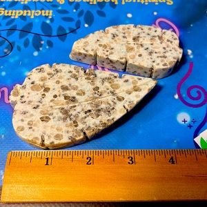 Bundle of 2 kiwi Jasper leaf or feather